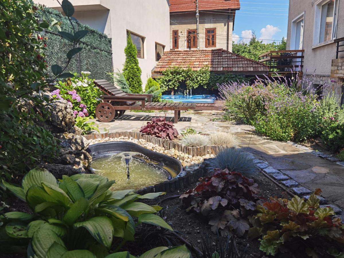 Mira Guest House Dobriniště Exteriér fotografie