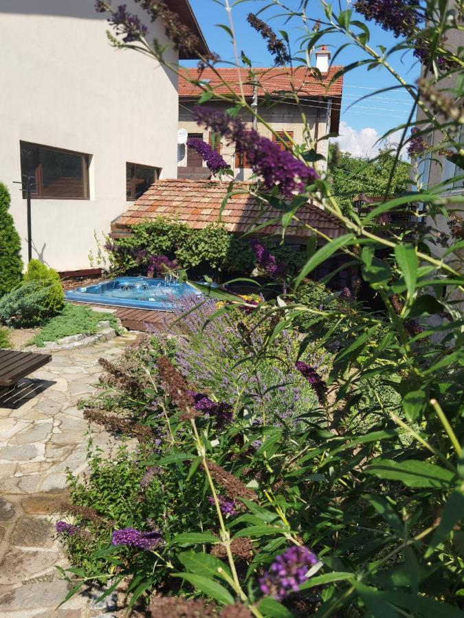 Mira Guest House Dobriniště Exteriér fotografie